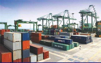 鉭鈮礦進口報關 莫桑比克鉭鈮礦進口報關公司 偉順進出口