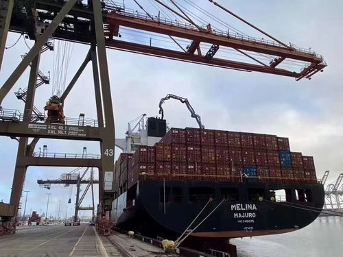 揭秘 海運到美國多少錢一噸 一般一個貨柜到美國多少運費 發美國的物流公司