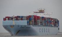 拼箱散貨海運上海到印度新德里New Delhi,India