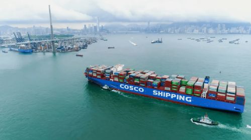 全流程 全覆蓋 全天候 上海集運奧吉貨運為內貿客戶提供優質服務