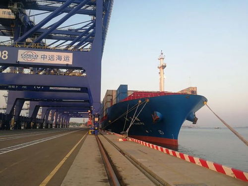 開(kāi)辟陸海新通道打造航運(yùn)新樞紐 解碼央企助力中國(guó)特色自由貿(mào)易港建設(shè)