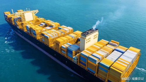 廣州到布里斯班海運(yùn)優(yōu)選指南 廣州東際專線直達(dá)，專業(yè)物流團(tuán)隊(duì)護(hù)航