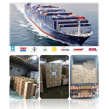 中國廣州、深圳、香港、廈門、青島、上海、寧波至斐濟海運拼箱物流服務(wù)詳解