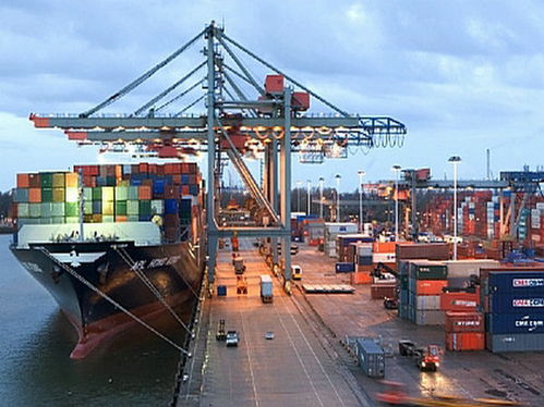 廣州出口泰國整柜海運服務 選擇性價比出眾的物流伙伴